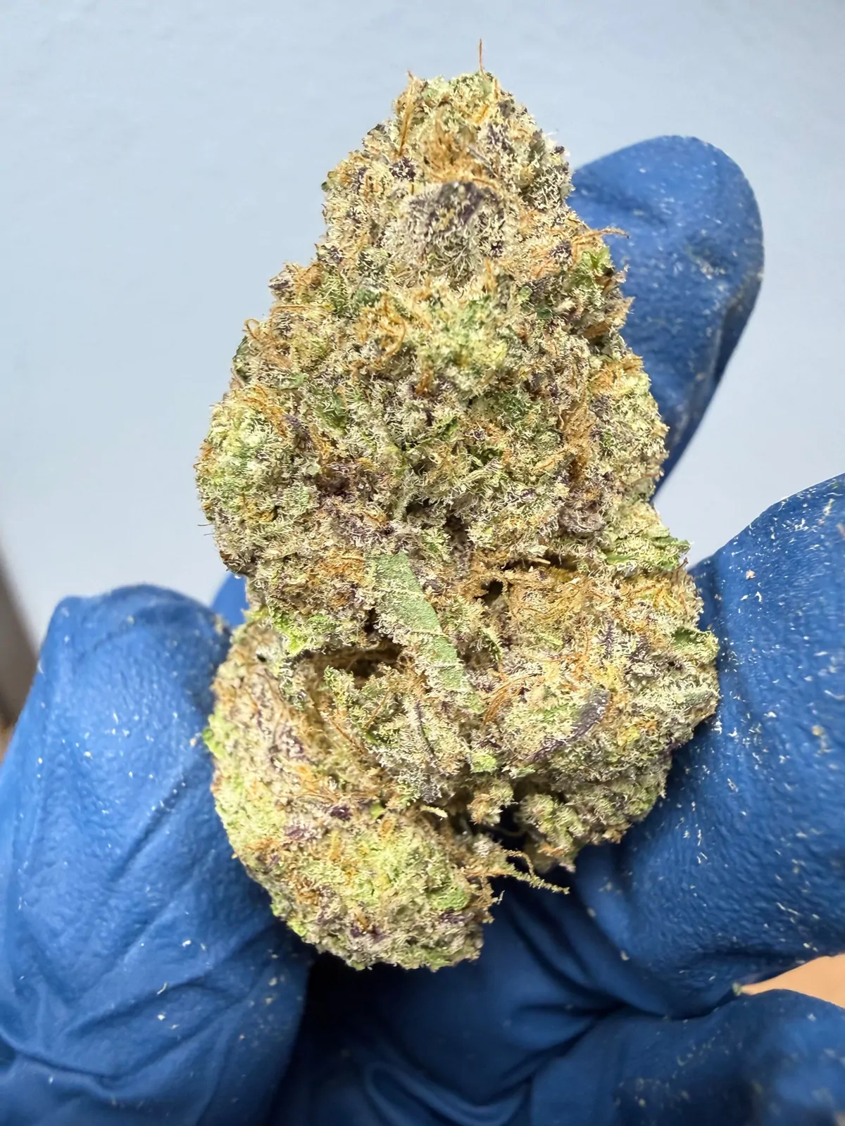 Lemon Cherry Pie Packaged Flower